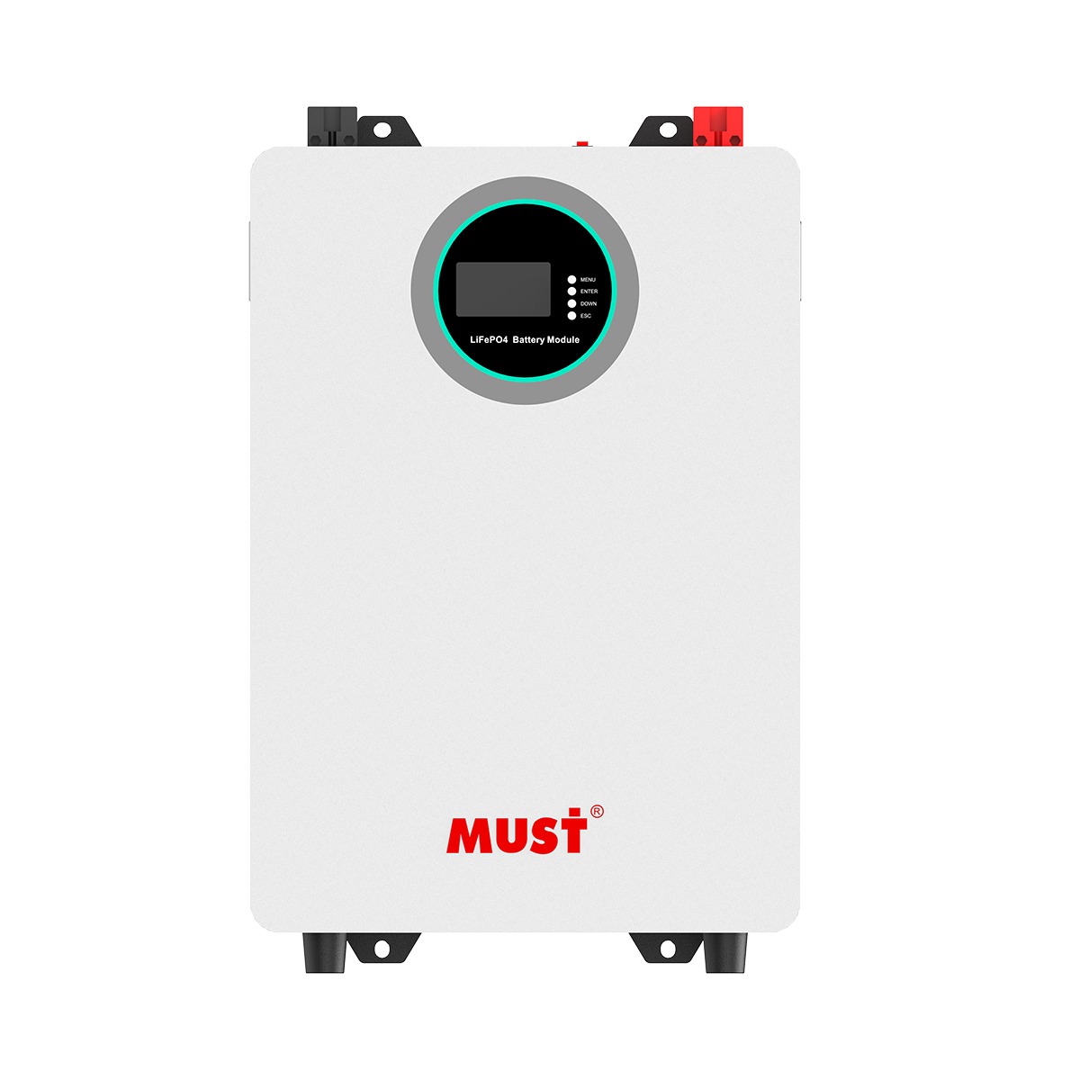 Smart Battery LifePO4 MUST